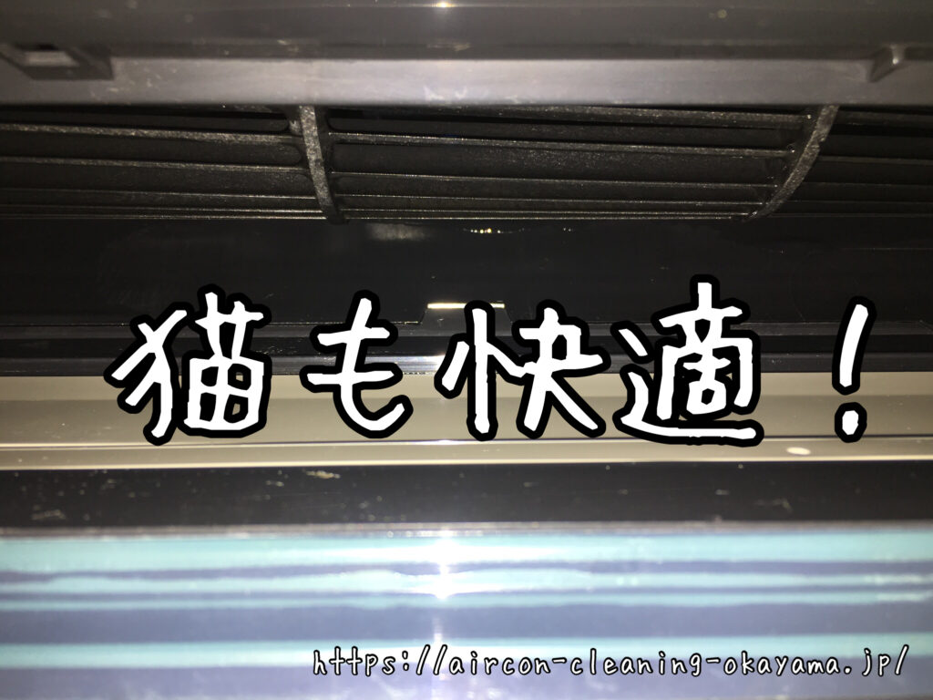 RAS-402SDR(W)のエアコンクリーニング。美作市一戸建て1階台所にて実施！